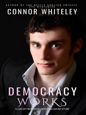 cover image of Democracy Works